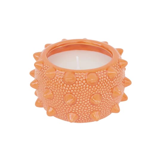 9oz. Citronella, Basil & Clove Scented Candle by Ashland®